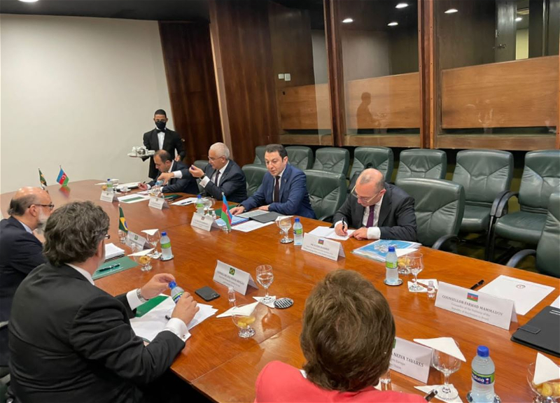 Азербайджан и Бразилия провели очередной раунд политических консультаций - ФОТО