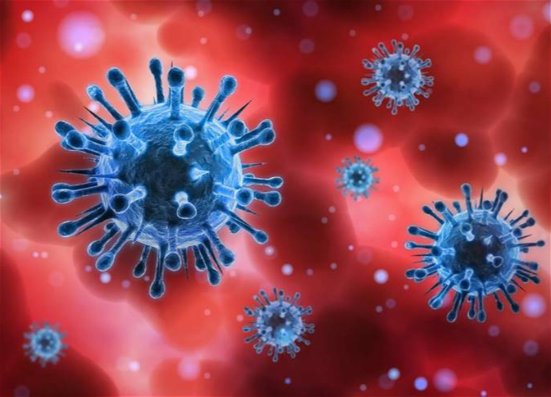В Азербайджане за сутки выявлены 4 случая заражения коронавирусом