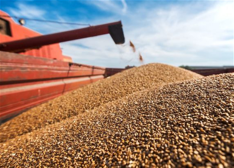 СМИ: Канада готова помочь с вывозом зерна из портов Украины