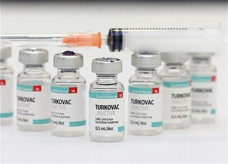 В Азербайджане пройдет третья фаза клинических испытаний вакцины Turkovac