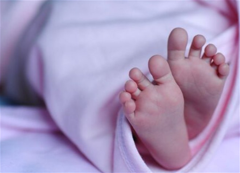 Стали известны обстоятельства обнаружения разлагающегося тела новорожденного в Баку - ВИДЕО
