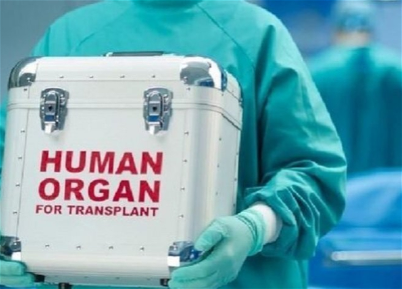 В Азербайджане вводятся новые меры наказания за незаконную трансплантацию органов