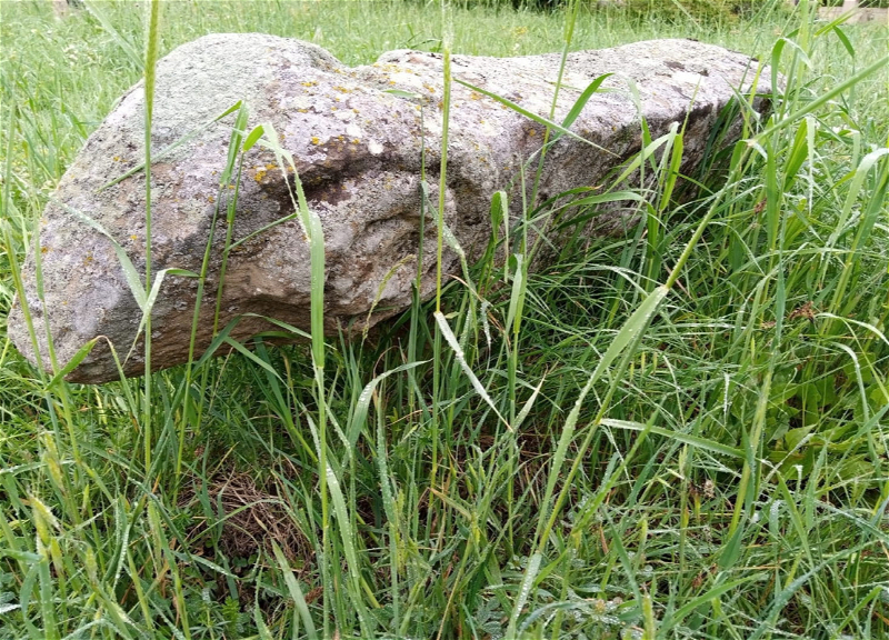 В Азербайджане впервые обнаружены каменные фигуры быка - ФОТО