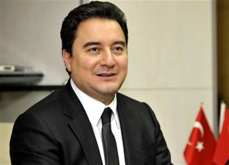 Бывший соратник Эрдогана Али Бабаджан готов выставить свою кандидатуру на выборах президента