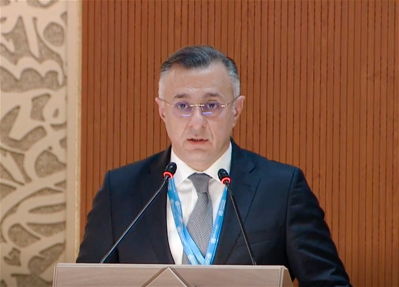 Глава Минздрава Азербайджана выступил на пленарном заседании 75-й сессии ВАЗ