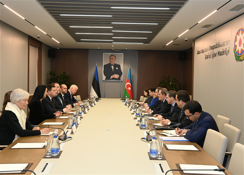 Глава МИД Азербайджана и спикер парламента Эстонии наметили сферы для развития сотрудничества - ФОТО