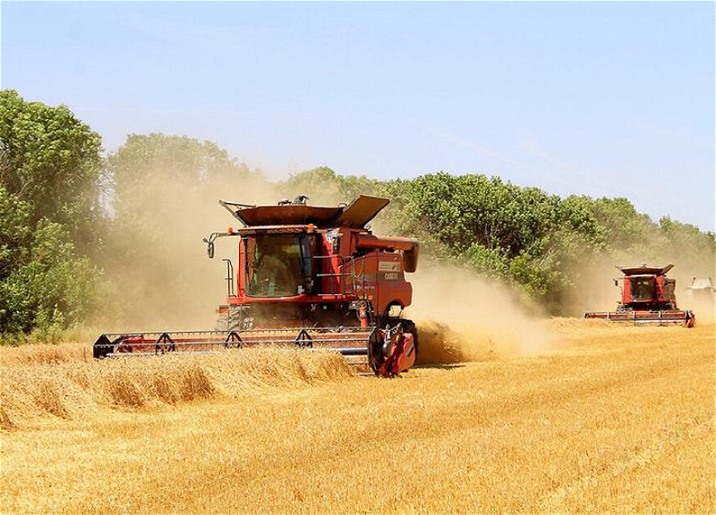 В ЕС ищут способ вывезти сельскохозяйственную продукцию с Украины