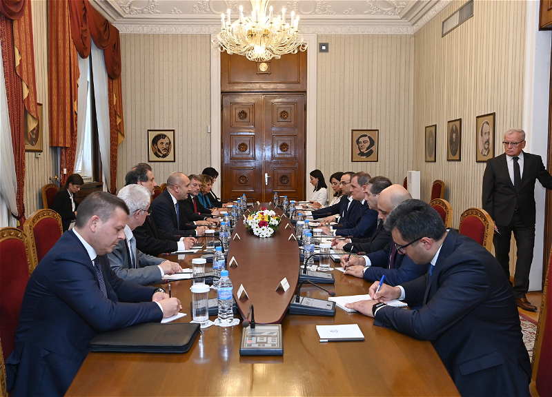 Джейхун Байрамов обсудил с президентом Болгарии сотрудничество в сфере энергетики – ФОТО