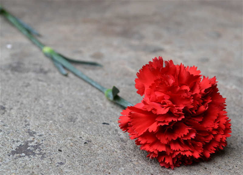 Скончалась студентка азербайджанского вуза – ФОТО