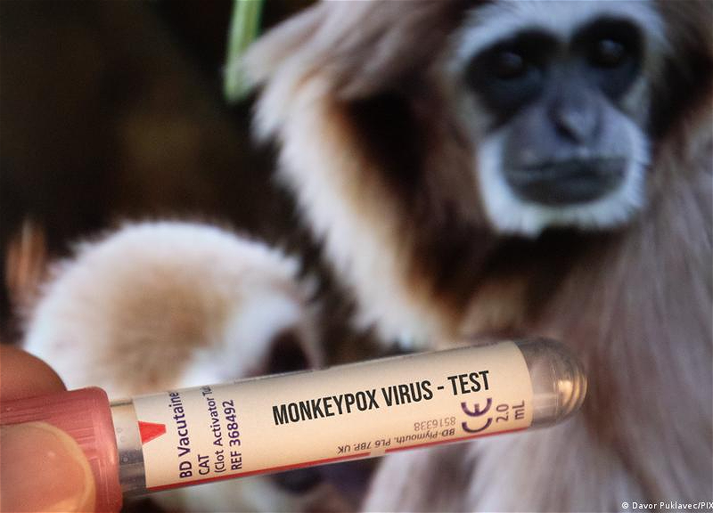 В Великобритании зафиксировали более 200 случаев оспы обезьян