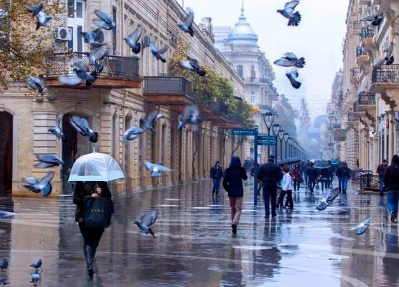 В Азербайджане изменится погода: Ожидается сильный ветер, снизится температура
