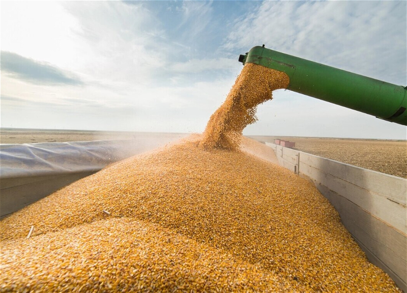В Турции заявили о готовности внести вклад в обеспечение вывоза зерна с Украины