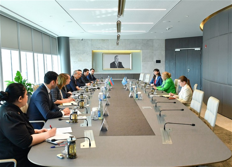 Между Азербайджаном и ООН обсуждены реализуемые в Карабахе проекты