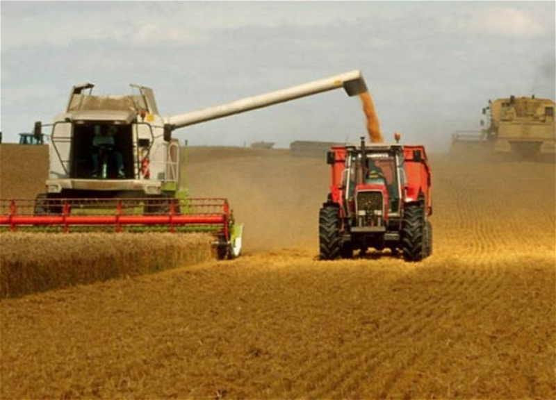 ООН тесно сотрудничает с властями Турции по вывозу украинского зерна