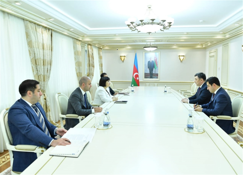 Председатель Милли Меджлиса встретилась с президентом Международной тюркской академии
