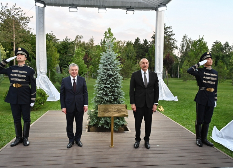 Президенты Азербайджана и Узбекистана посадили дерево на Аллее почетных гостей - ФОТО