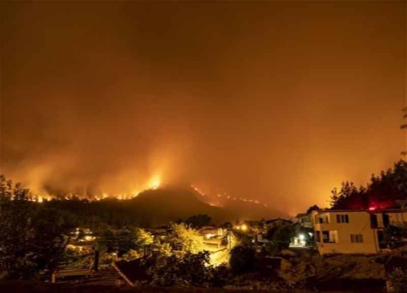 «Есть подозрения». Глава МВД Турции допустил, что лесные пожары в Мармарисе - диверсия - ФОТО