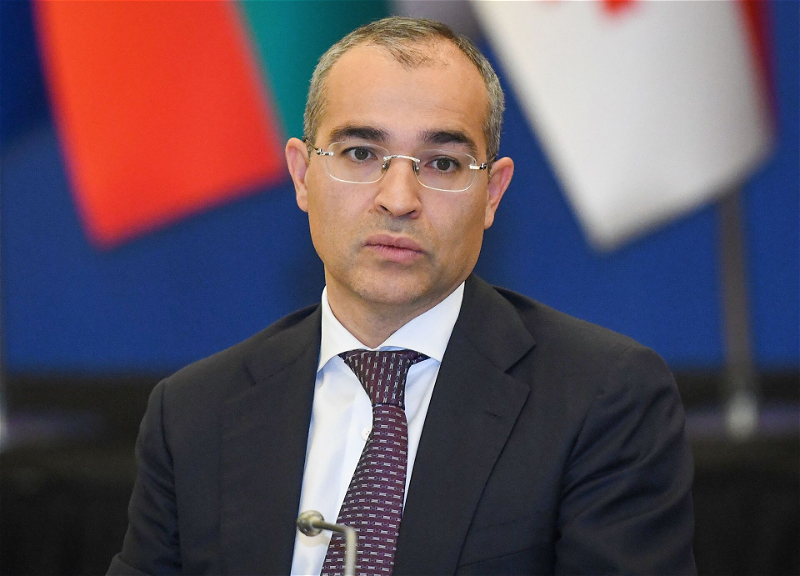 Микаил Джаббаров: Азербайджан увеличил экспорт ненефтяной продукции - ФОТО