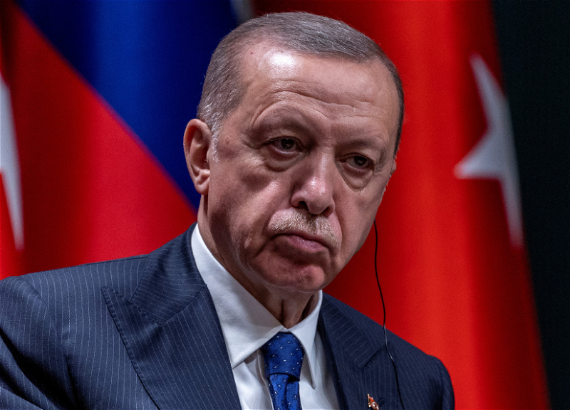 Эрдоган поддержал идею ужесточения наказания за организацию лесных пожаров
