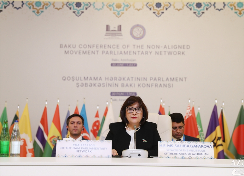 В рамках Бакинской конференции Парламентской сети Движения неприсоединения состоялось заседание руководителей делегаций - ФОТО