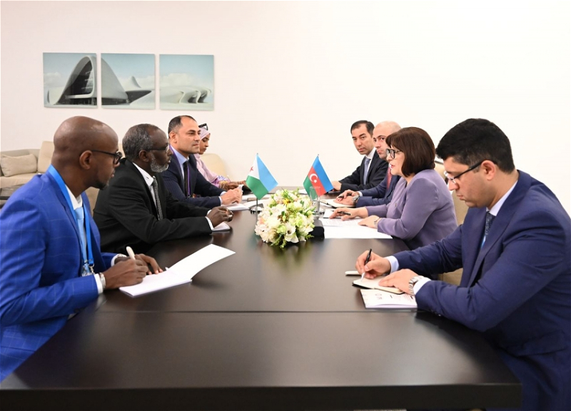 Мохаммад Али Хумед: Джибути заинтересован в расширении межпарламентских связей с Азербайджаном