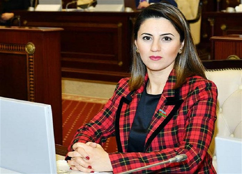 “Qoşulmama Hərəkatının Parlament Şəbəkəsinin yaradılması əməkdaşlıq imkanlarını daha da genişləndirəcək” - Deputat