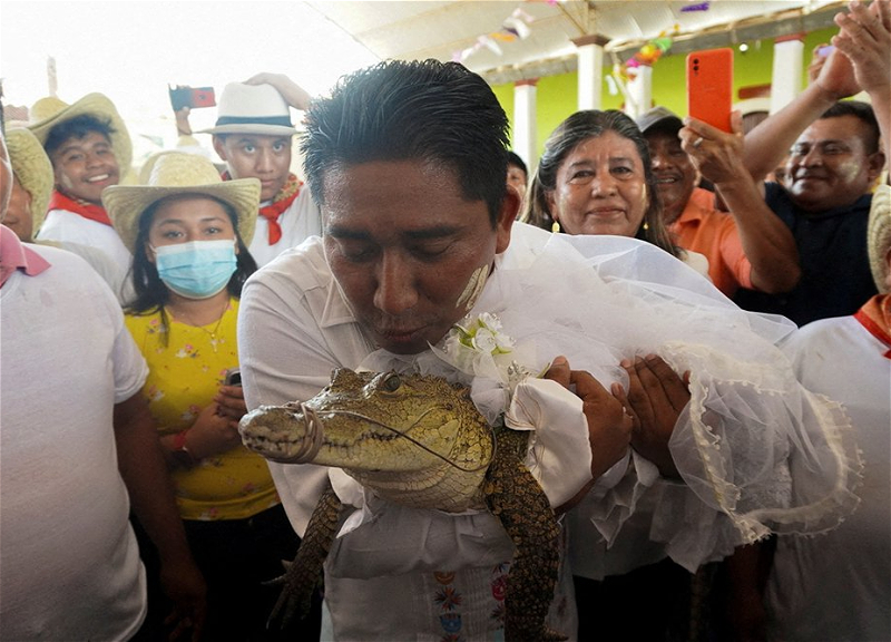Мэр мексиканского рыбацкого города женился на аллигаторе - ВИДЕО