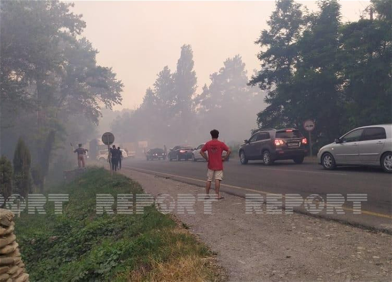 Пожар в Шабранском районе потушен - ФОТО - ОБНОВЛЕНО