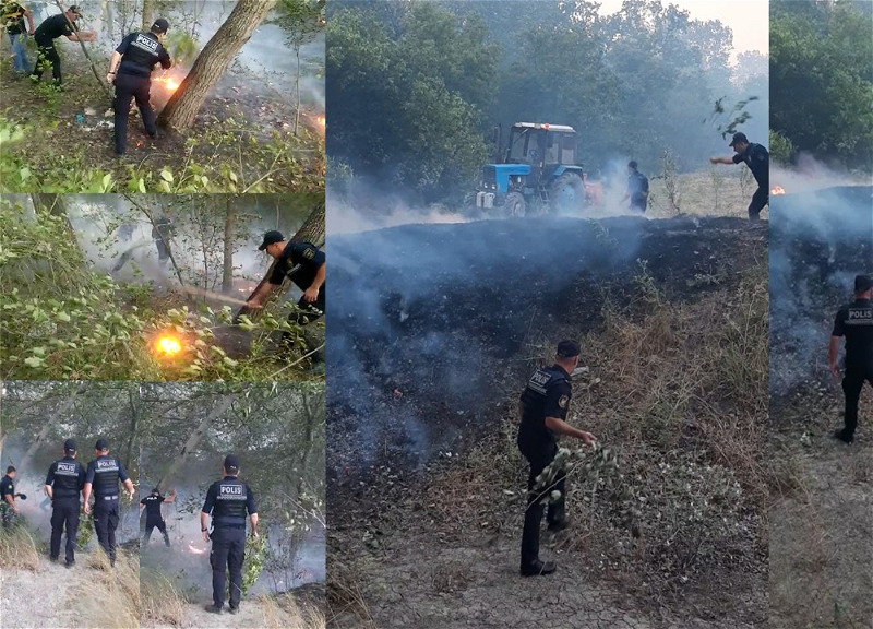 Полицейские приняли активное участие в предотвращении пожара в Шабране