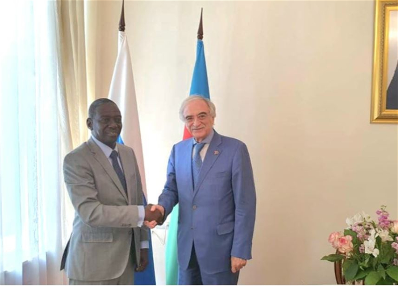 Посол: Судан хорошо понимает позицию Азербайджана, потому что сам сталкивается с сепаратизмом - ФОТО
