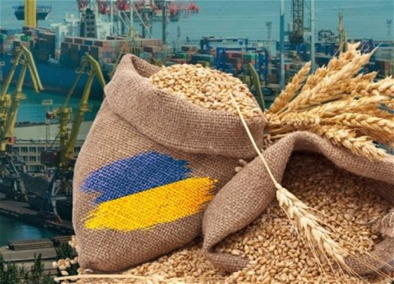 В Турции сообщили о скором начале вывоза украинского зерна