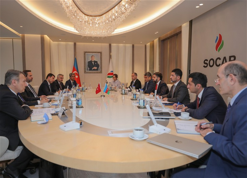 Президент SOCAR встретился с замминистра энергетики и природных ресурсов Турции - ФОТО