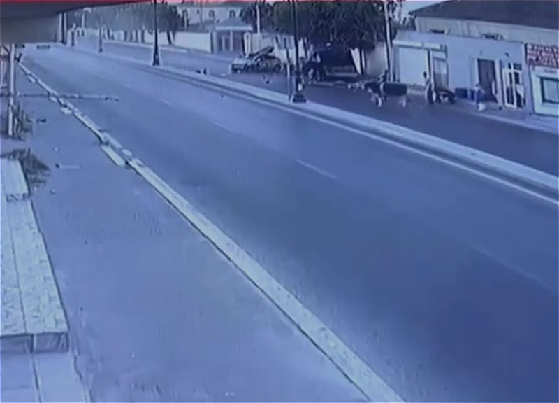 Трагикомичная авария в Баку: люди забыли про водителя и погнались за коровой – ВИДЕО