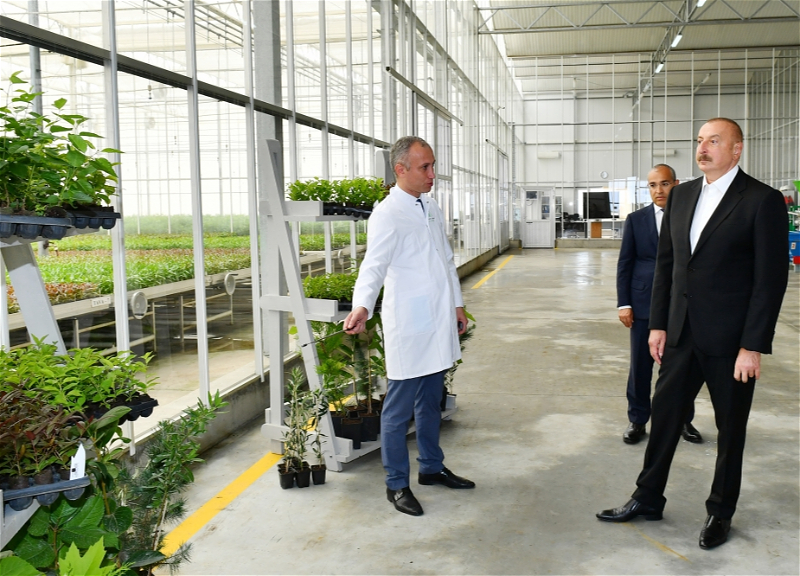 Ильхам Алиев и Мехрибан Алиева ознакомились с предприятием ООО Grand-Agro İnvitro и открыли завод ООО Azbadam - ФОТО