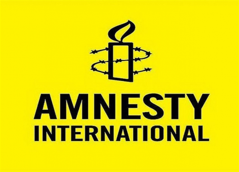 Amnesty International – защитники «прав» агрессора?
