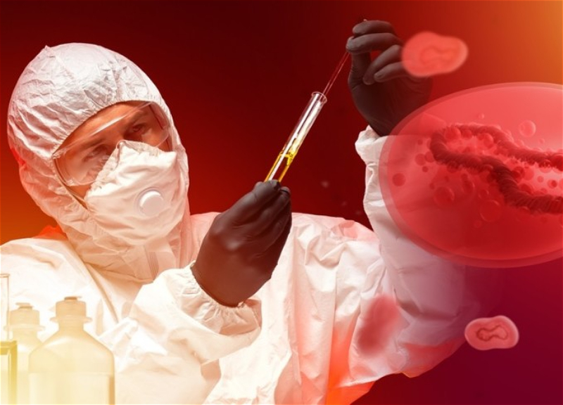 В Китае выявлен новый генипавирус «Ланье»