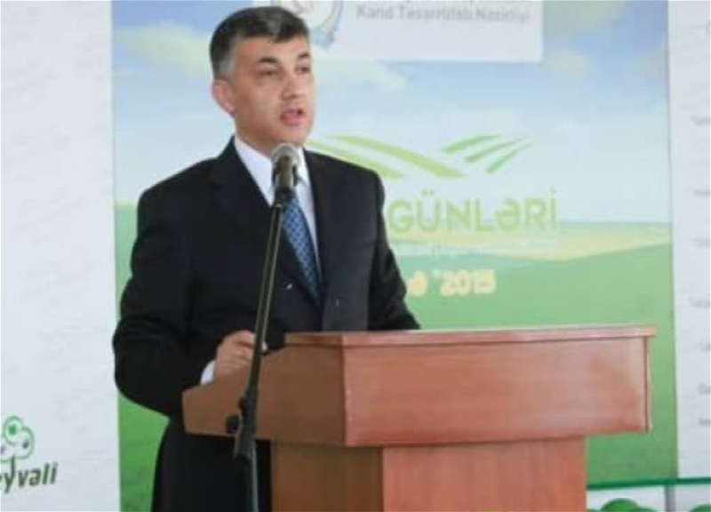 “Broker” MMC-nin rəhbəri Əbülfəz Məlikov həbs edilib