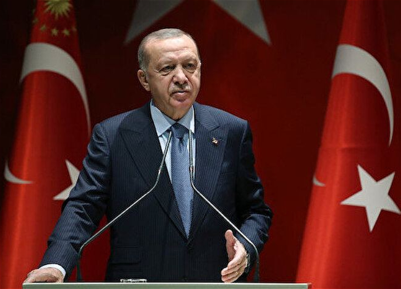 Эрдоган: В Турции треть вырабатываемой электроэнергии приходится на ГЭС