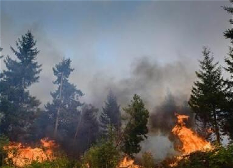 Пожар в Шахдагском нацпарке локализован - ФОТО – ОБНОВЛЕНО