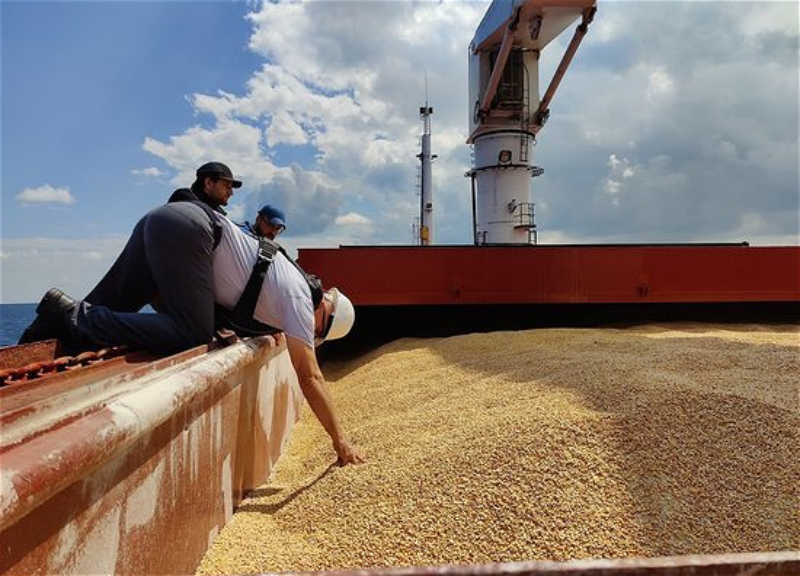 Вышедшее из Украины первое судно с пшеницей прибыло в Стамбул
