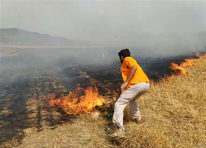 Ужасные последствия пожара в Шабранском районе: Выжженная земля, сгоревшие дома, павший домашний скот – ВИДЕО