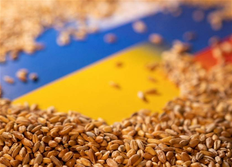 В Турции сообщили, сколько зерна на сегодняшний день вывезено из Украины