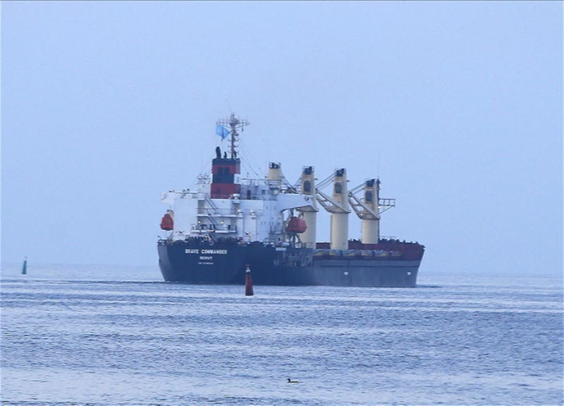Еще два судна с сельхозпродукцией вышли из портов Украины, сообщает Минобороны Турции