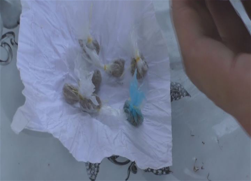 İstixanada narkotik yetişdirən Göyçay sakini saxlanılıb - FOTO