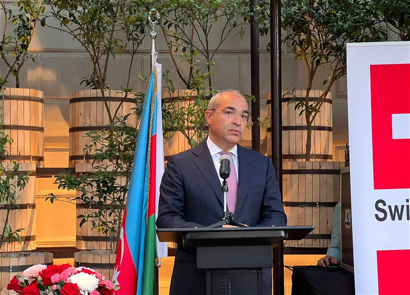 Министр: Швейцарские компании приглашены воспользоваться новыми экономическими возможностями в Азербайджане