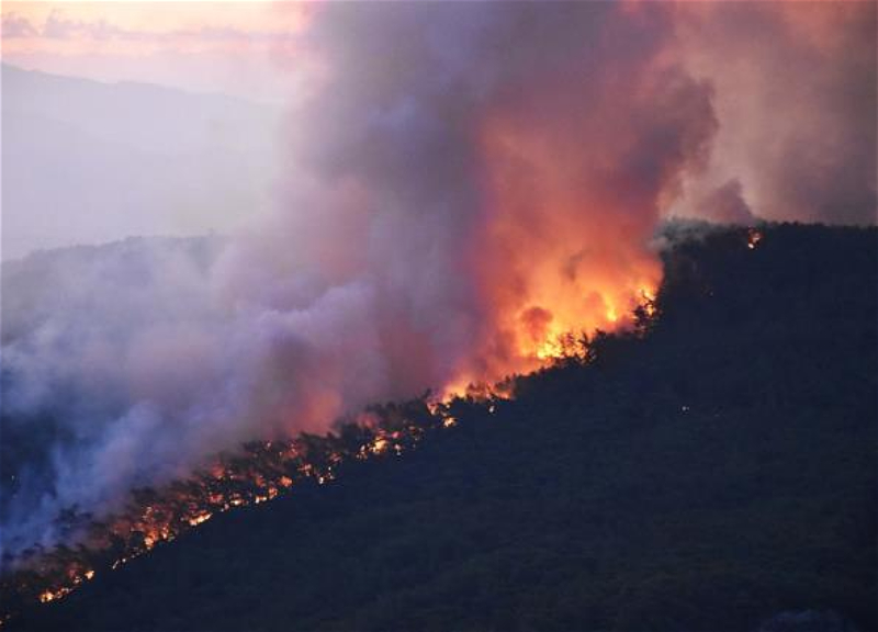 На юго-западе Турции вновь вспыхнули лесные пожары - ФОТО