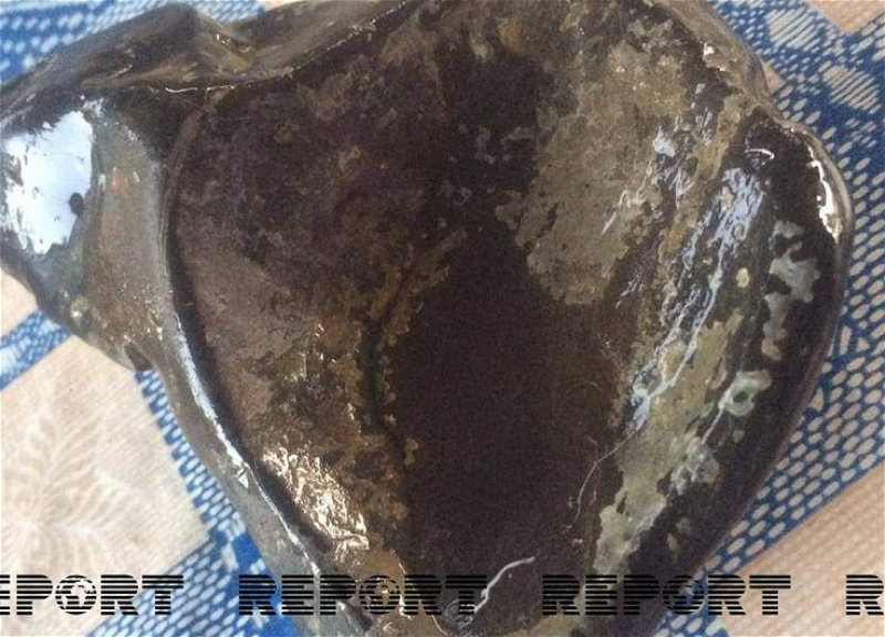 Джалилабадский школьник обнаружил предмет быта, датируемый бронзовым веком