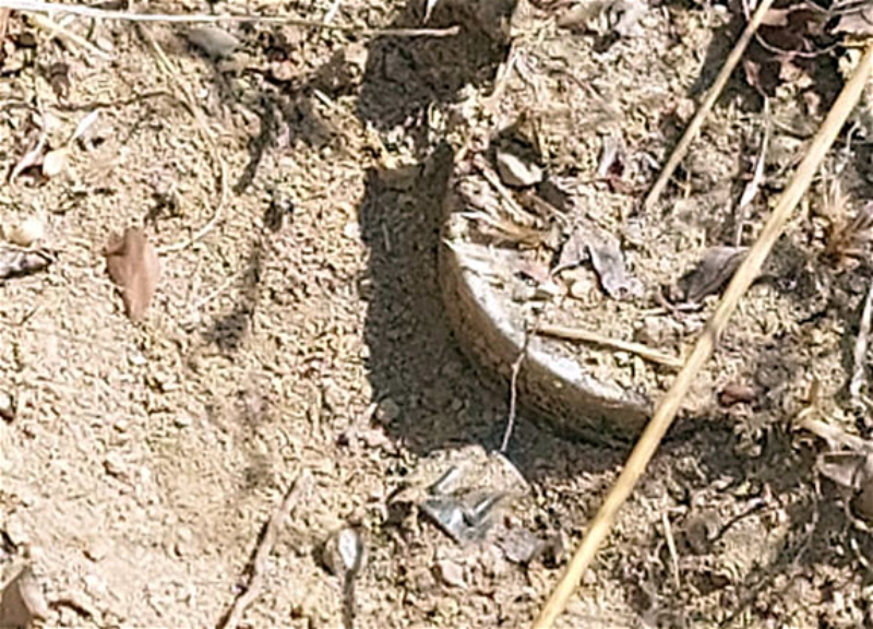Обнаружена мина-ловушка, закопанная армянскими военными подразделениями - ФОТО