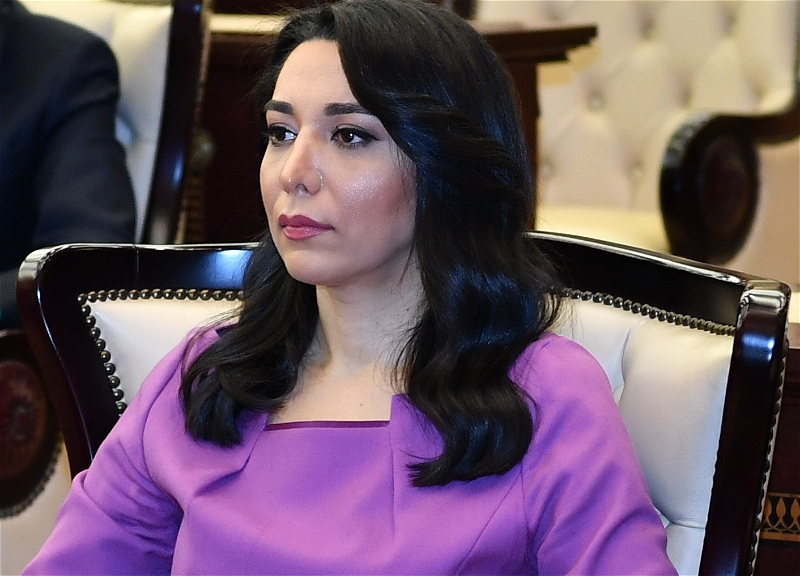 Ombudsman: “Ermənistan tərəfi sülh danışıqlarına xələl gətirir”