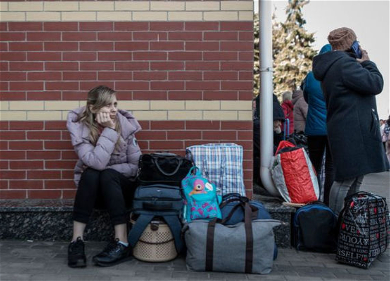 В Украине запустили чат-бот по эвакуации